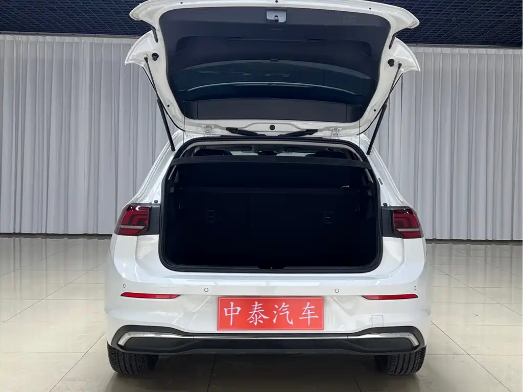 Golf 高尔夫 2025款 改款 300 TSI Pro