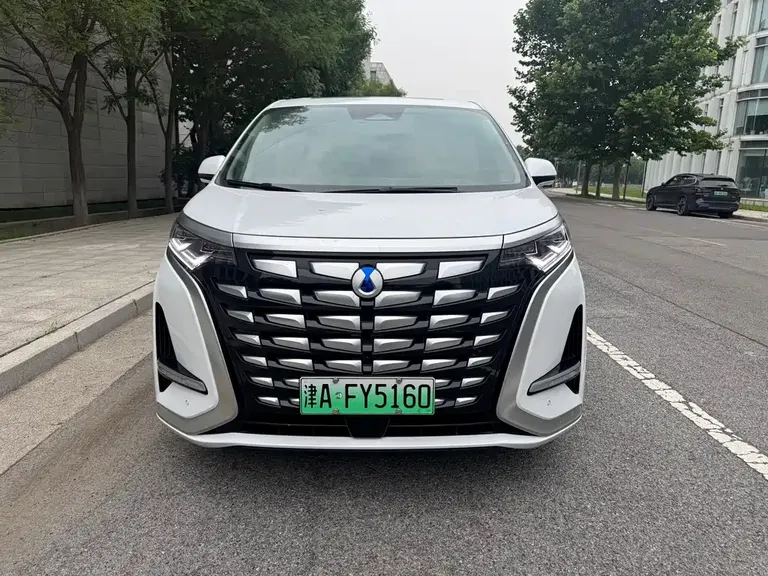 Denza D9 DM-i 1050 Premium