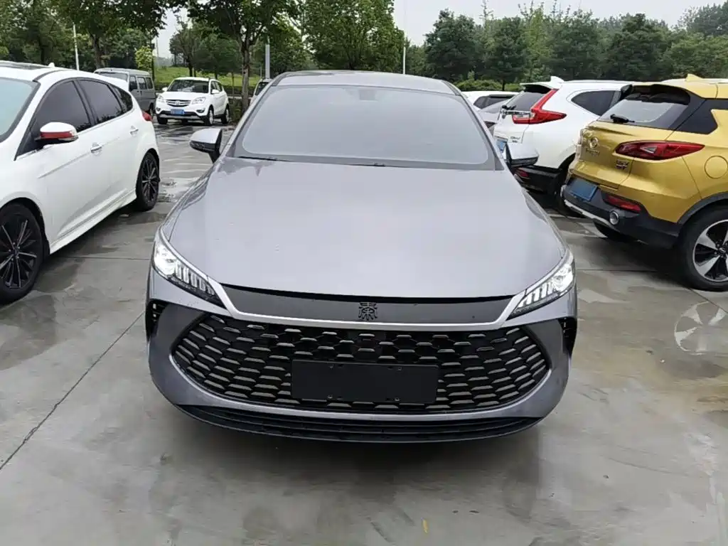 Qin PLUS DM-i Smart Drive 55 KM Leading