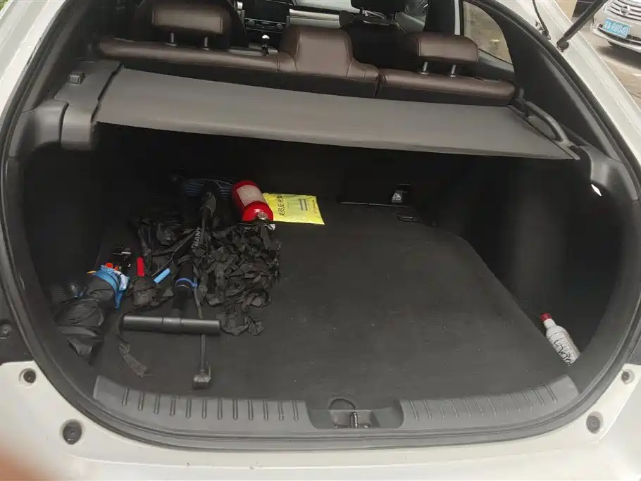 Civic HATCHBACK 220 TURBO Manual Drive Fun Control