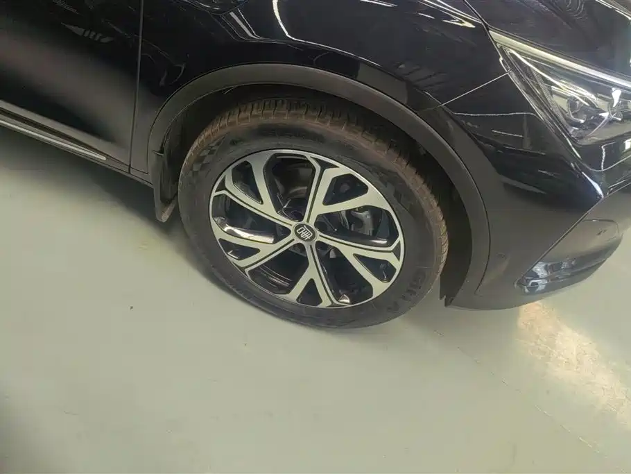 Tang NEV Smart Drive DM-i 115 KM Distinguished