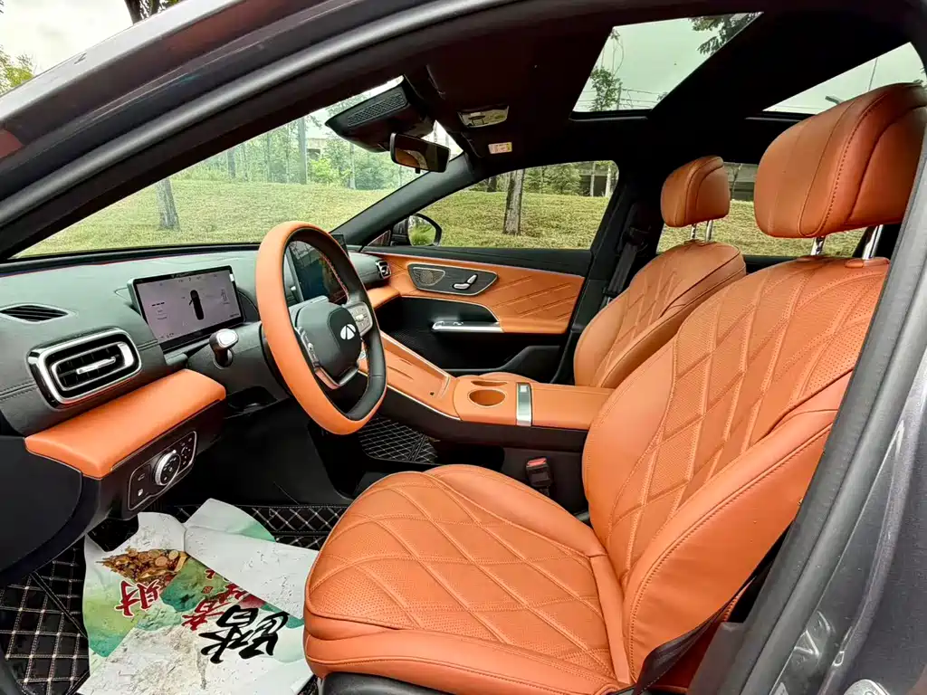 Fengyun A9 L 260 Ultra Long Range Luxury
