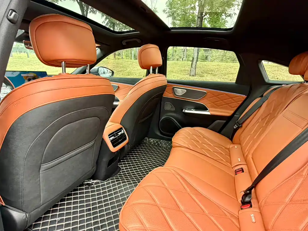 Fengyun A9 L 260 Ultra Long Range Luxury