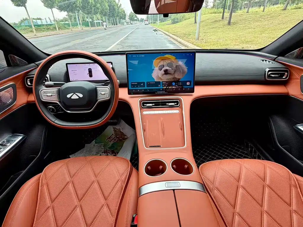Fengyun A9 L 260 Ultra Long Range Luxury