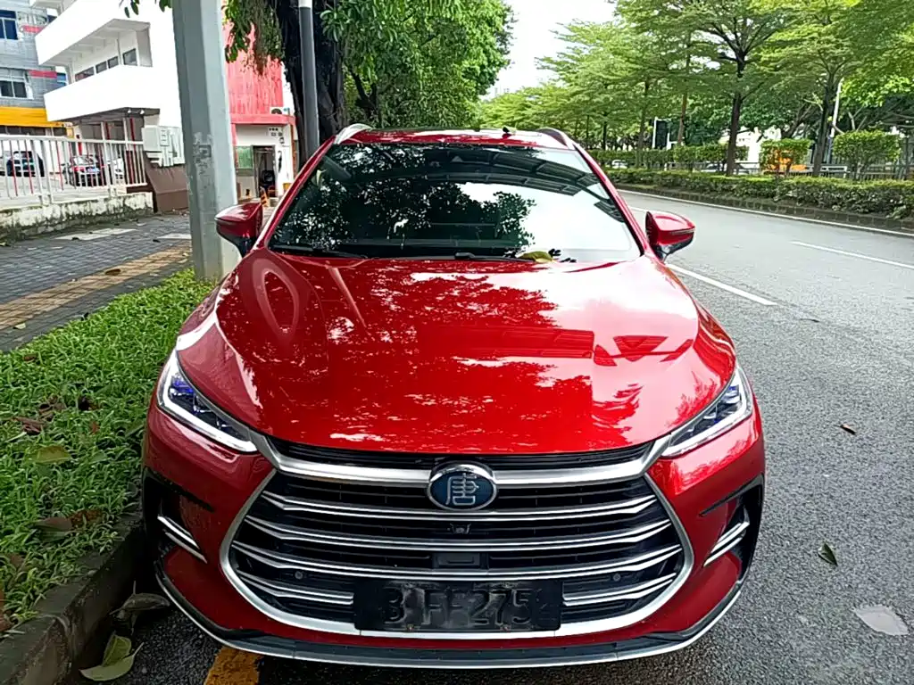 Tang NEV DM 2.0 T 4 WD Performance Distinguished