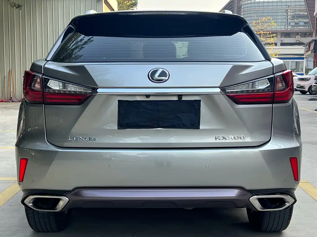 Lexus RX 300 2 WD Elite CN-V