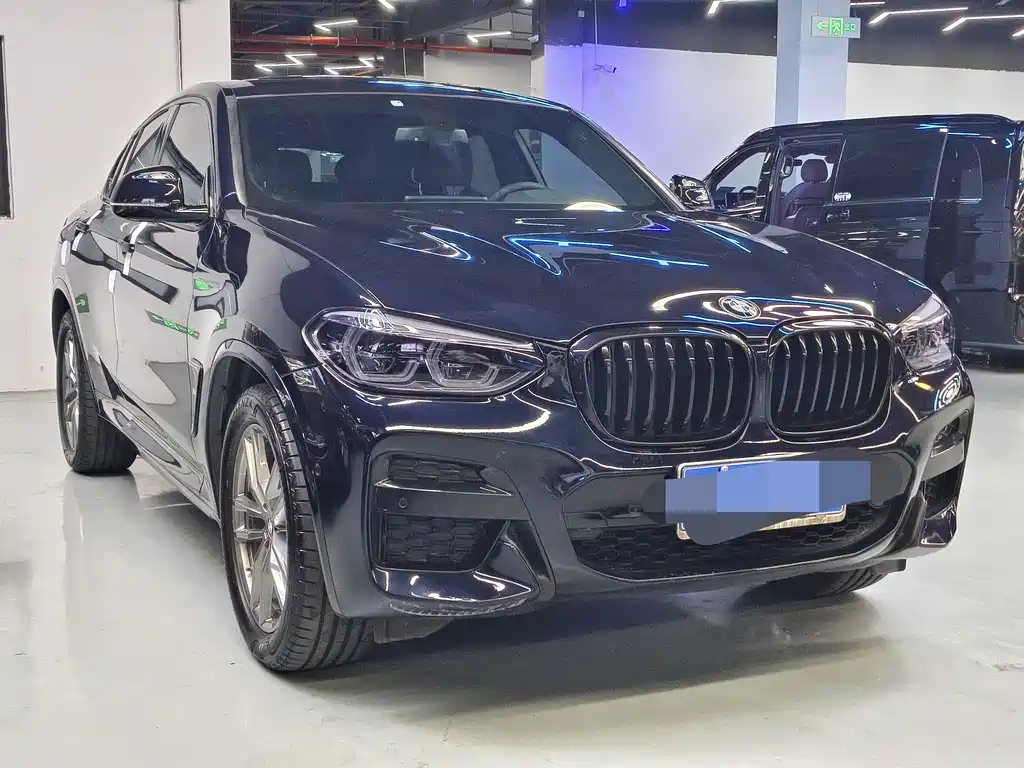 BMW X4 xDrive25 i M Sport Package