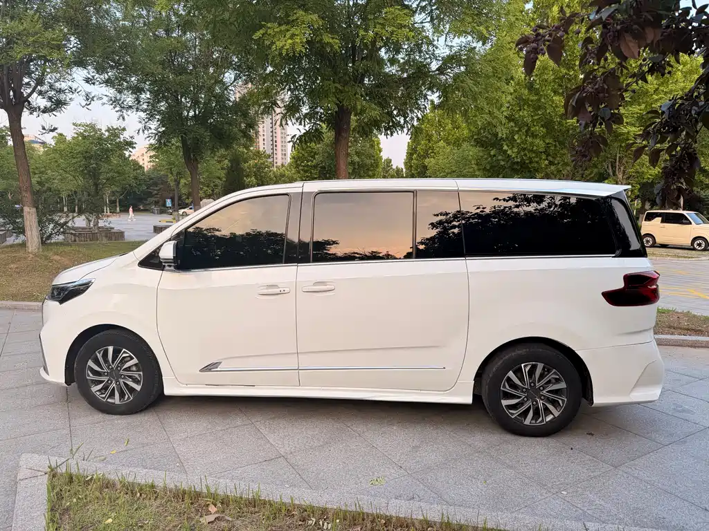 Maxus G20 2.0 T Gasoline Auto Luxury