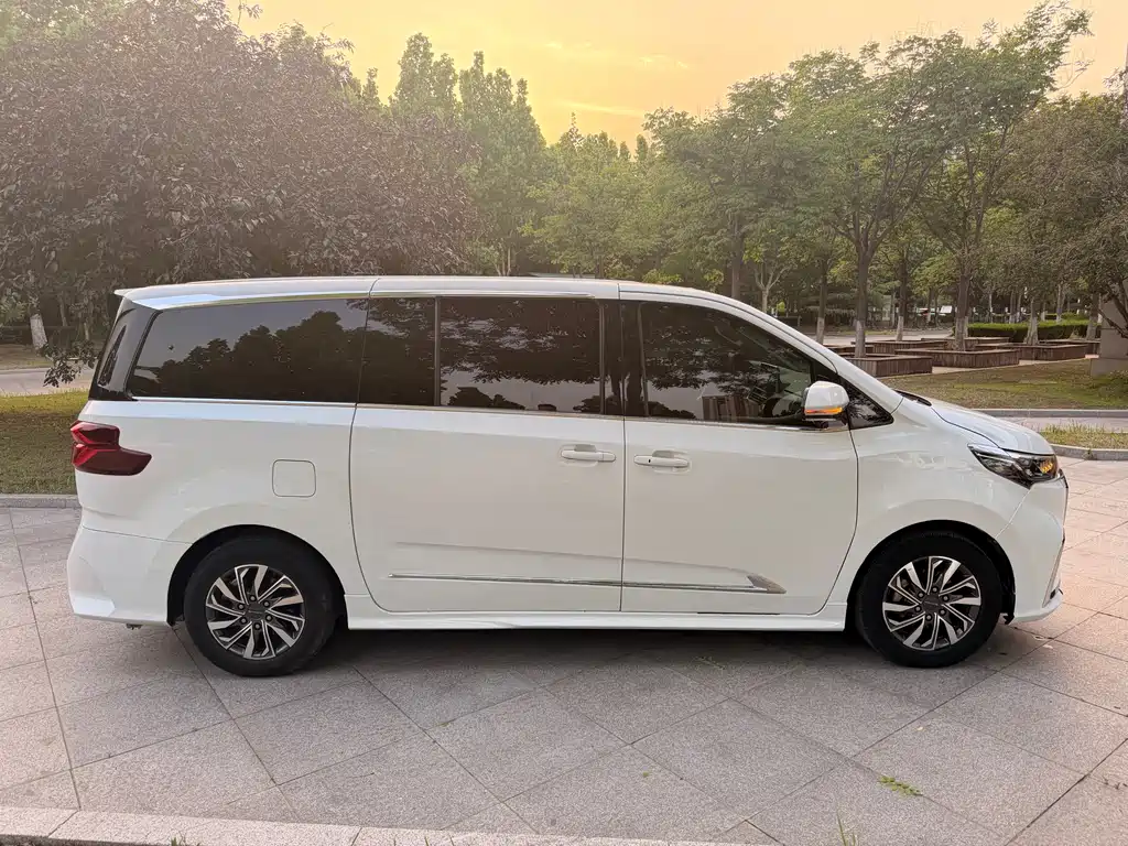 Maxus G20 2.0 T Gasoline Auto Luxury