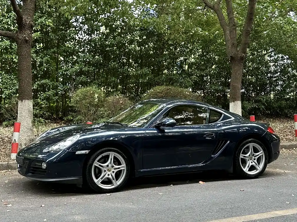 Cayman Cayman 2.9 L