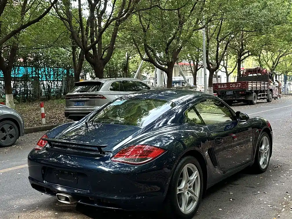Cayman Cayman 2.9 L