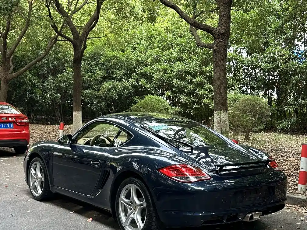 Cayman Cayman 2.9 L