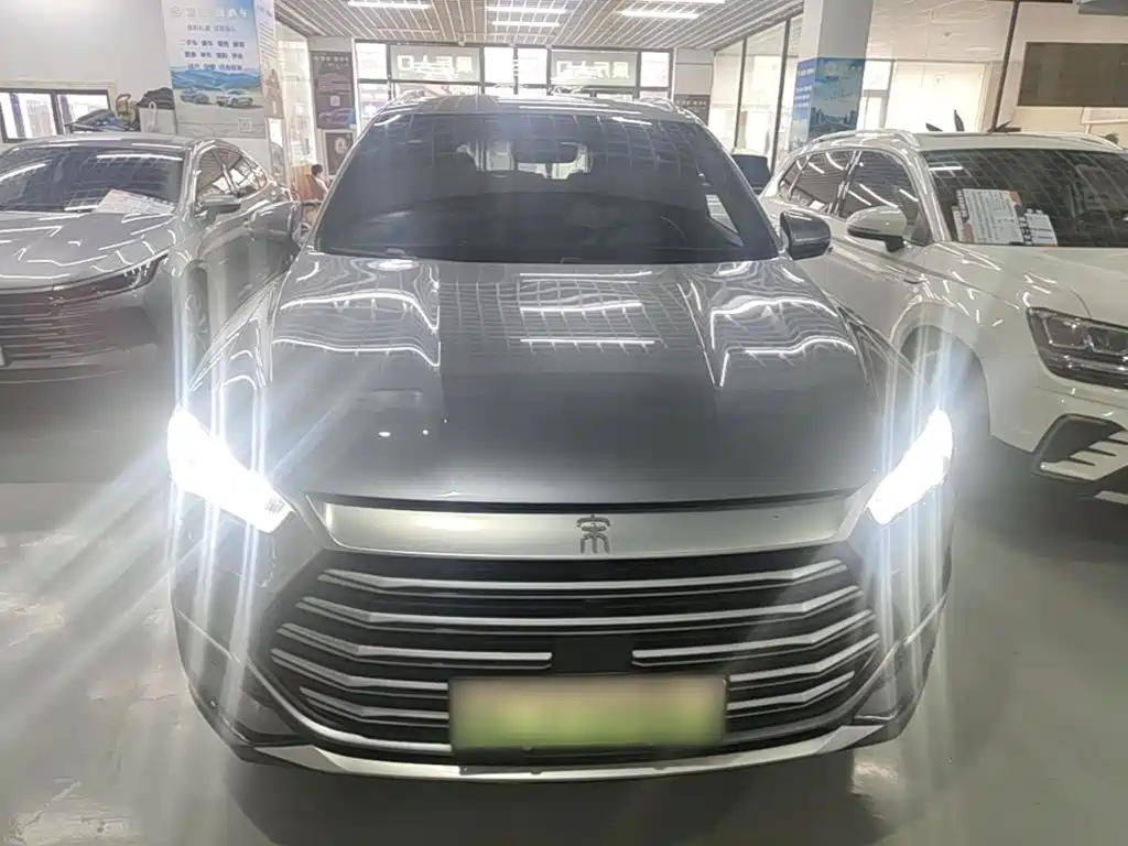 Song Pro NEV DM-i 51 km Luxury