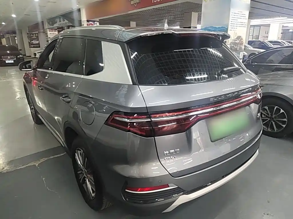 Song Pro NEV DM-i 51 km Luxury