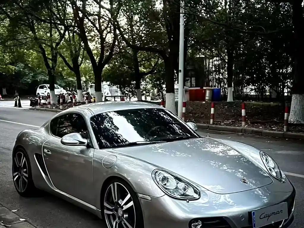 Cayman Cayman 2.9 L