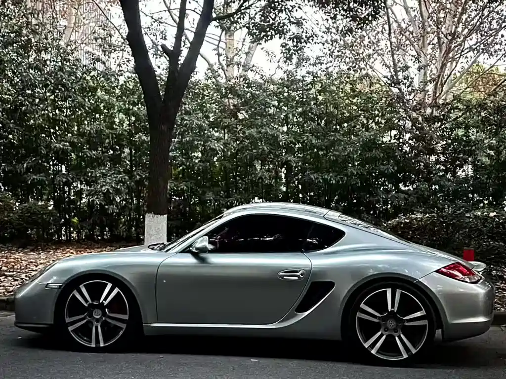 Cayman Cayman 2.9 L