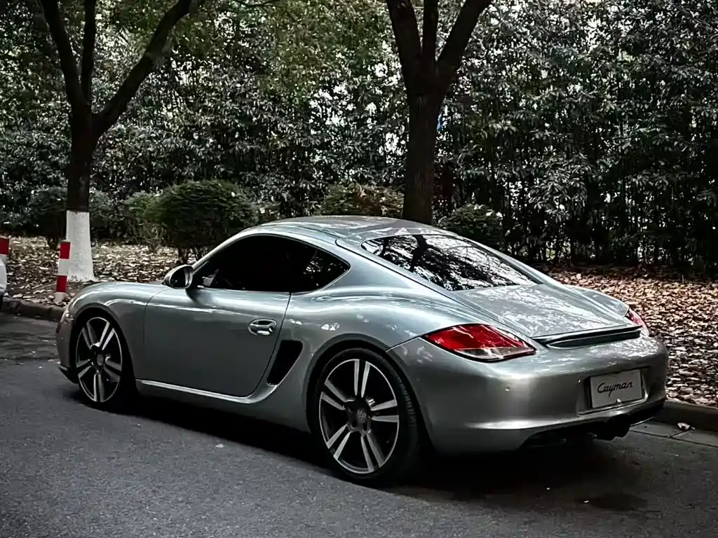Cayman Cayman 2.9 L