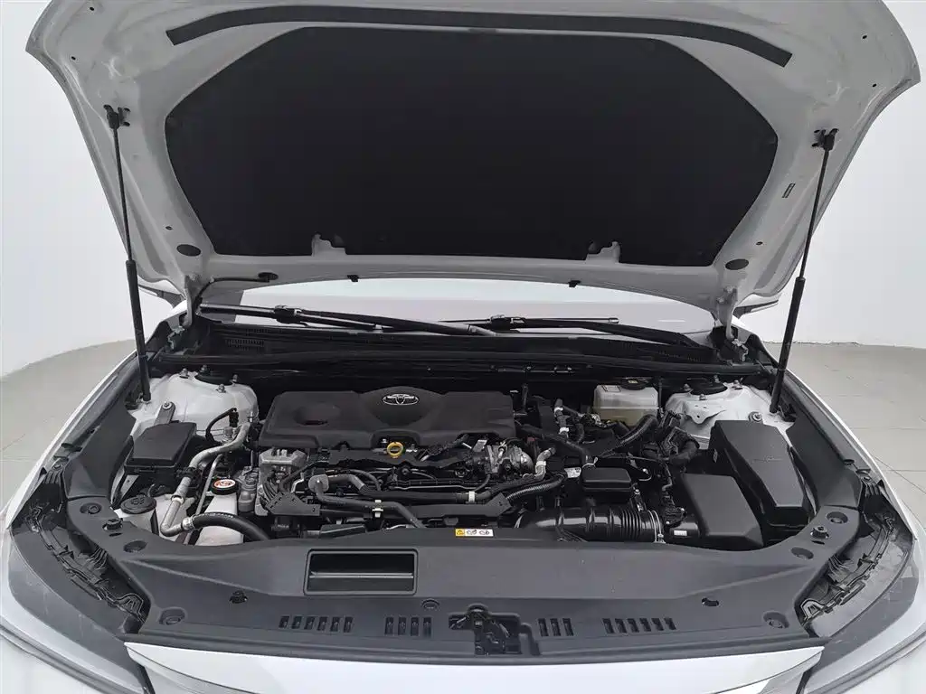 Avalon Dual Engine 2.5 L Luxury