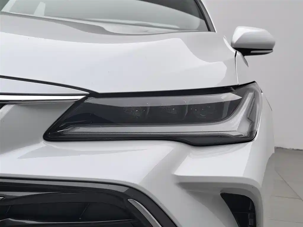 Avalon Dual Engine 2.5 L Luxury