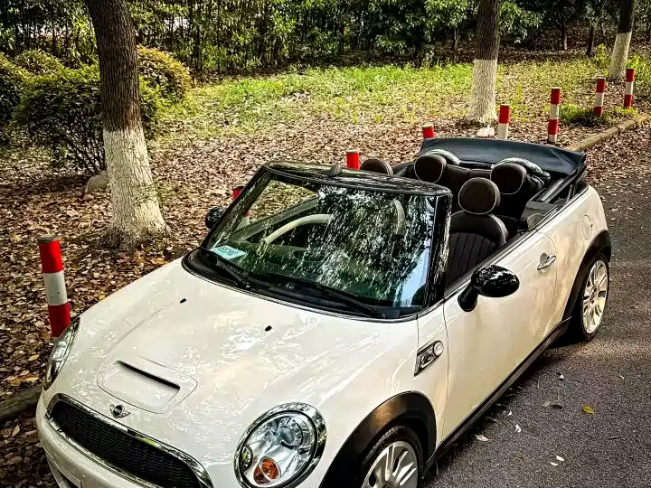 MINI MINI 2009款 1.6 T COOPER S CABRIO
