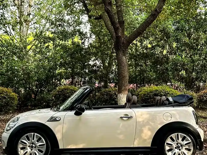 MINI MINI 2009款 1.6 T COOPER S CABRIO
