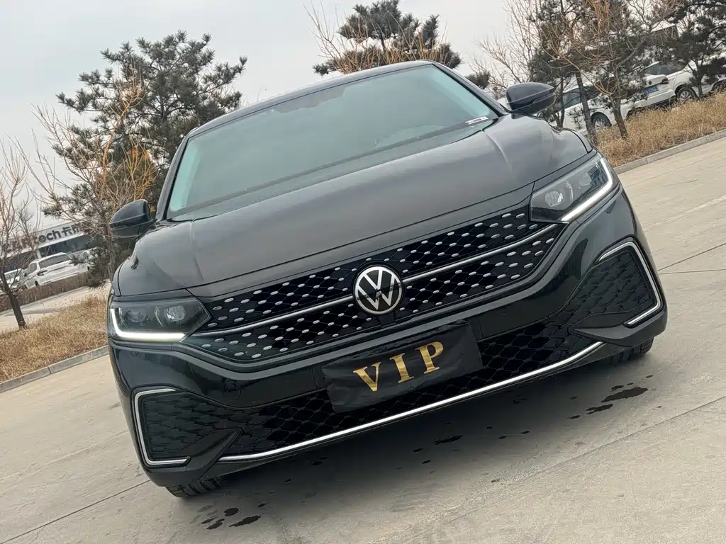 Passat 380 TSI Starry Sky Dragon