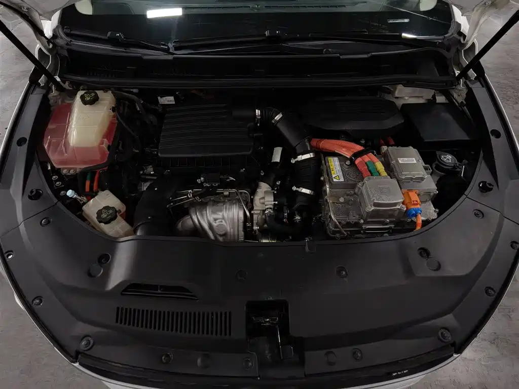 Song MAX NEV 宋MAX新能源 2019款 DM 1.5 T 智联致进型 7座 国VI