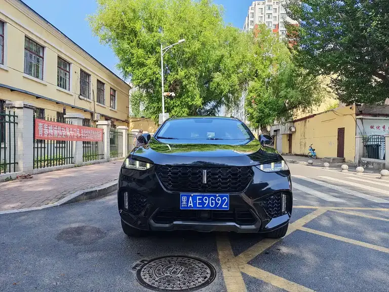 WEY VV7 2.0 T Super Luxury