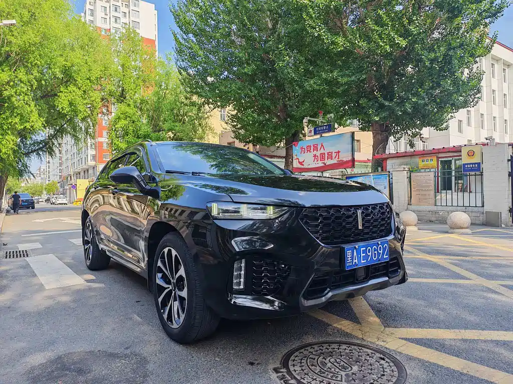 WEY VV7 2.0 T Super Luxury