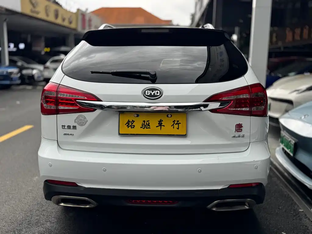 Tang NEV 2.0 T 4 WD Flagship