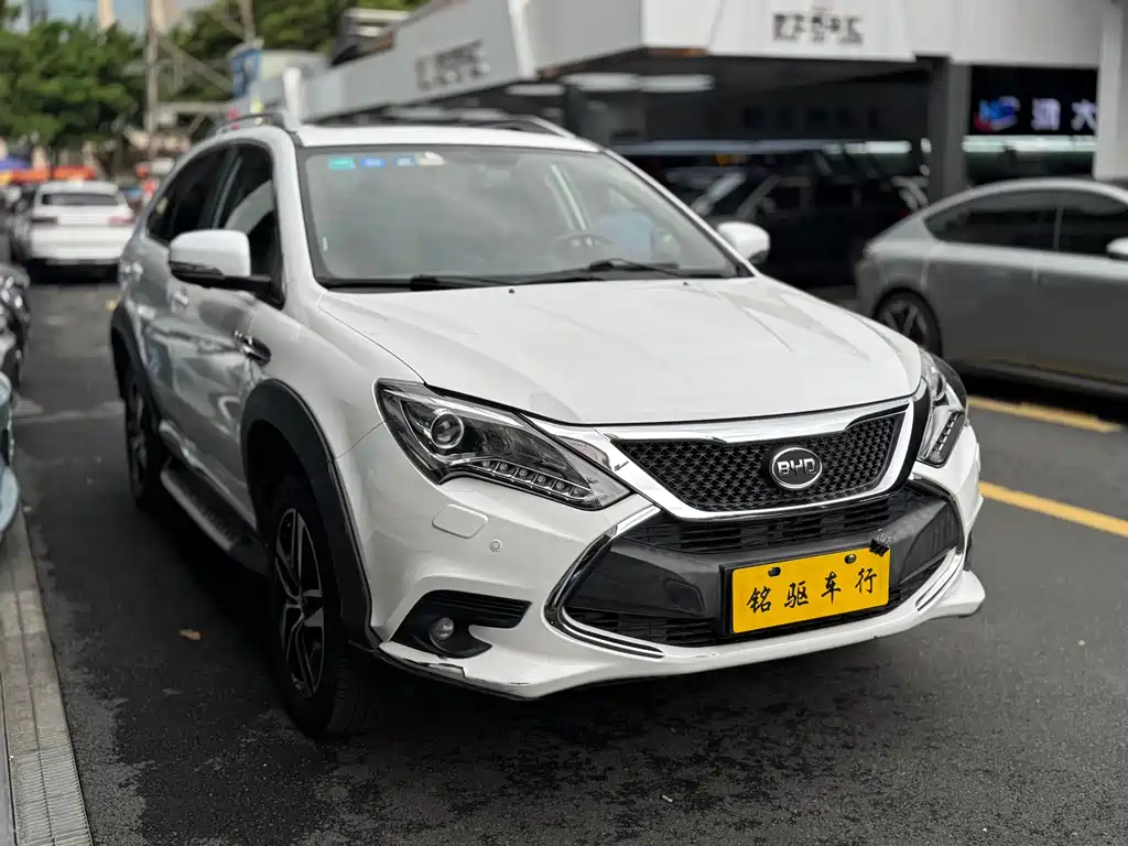 Tang NEV 2.0 T 4 WD Flagship