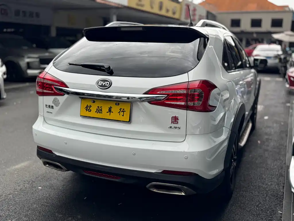 Tang NEV 2.0 T 4 WD Flagship