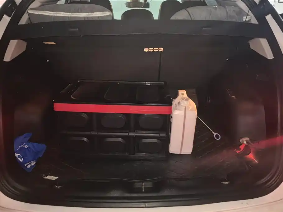 Compass 200 T Auto Joy