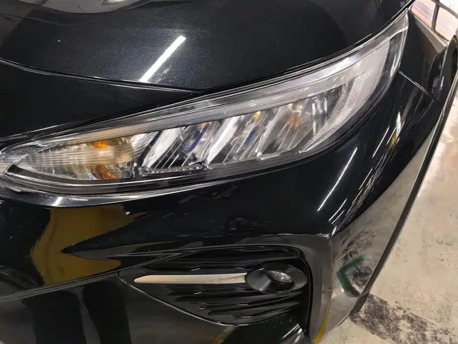 Wildlander 2.0 L CVT 2 WD Leading