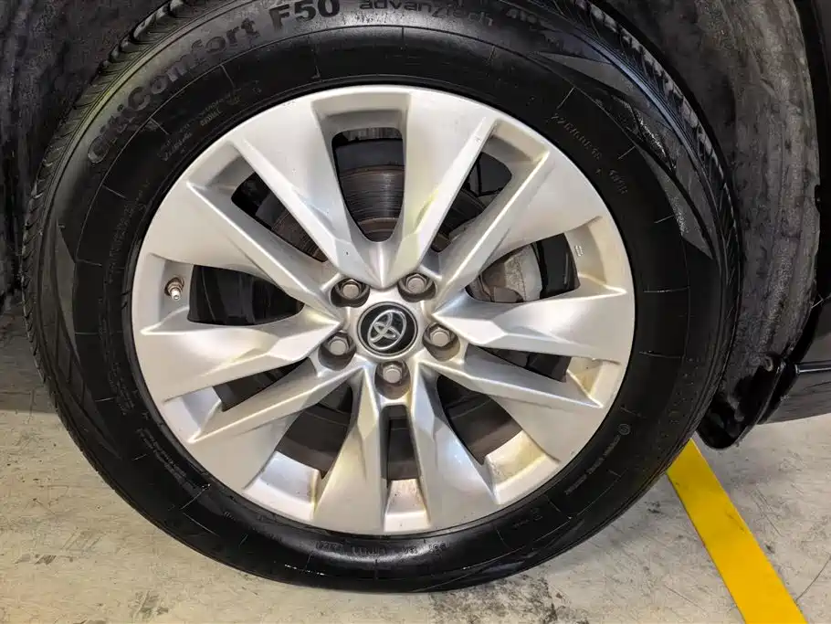 Wildlander 2.0 L CVT 2 WD Leading