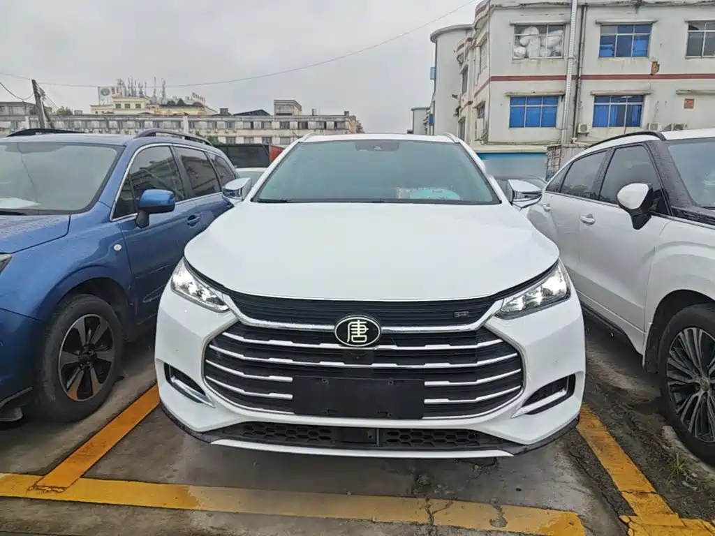 Tang 2.0 T Auto Connected Honored 7-seat CN-V