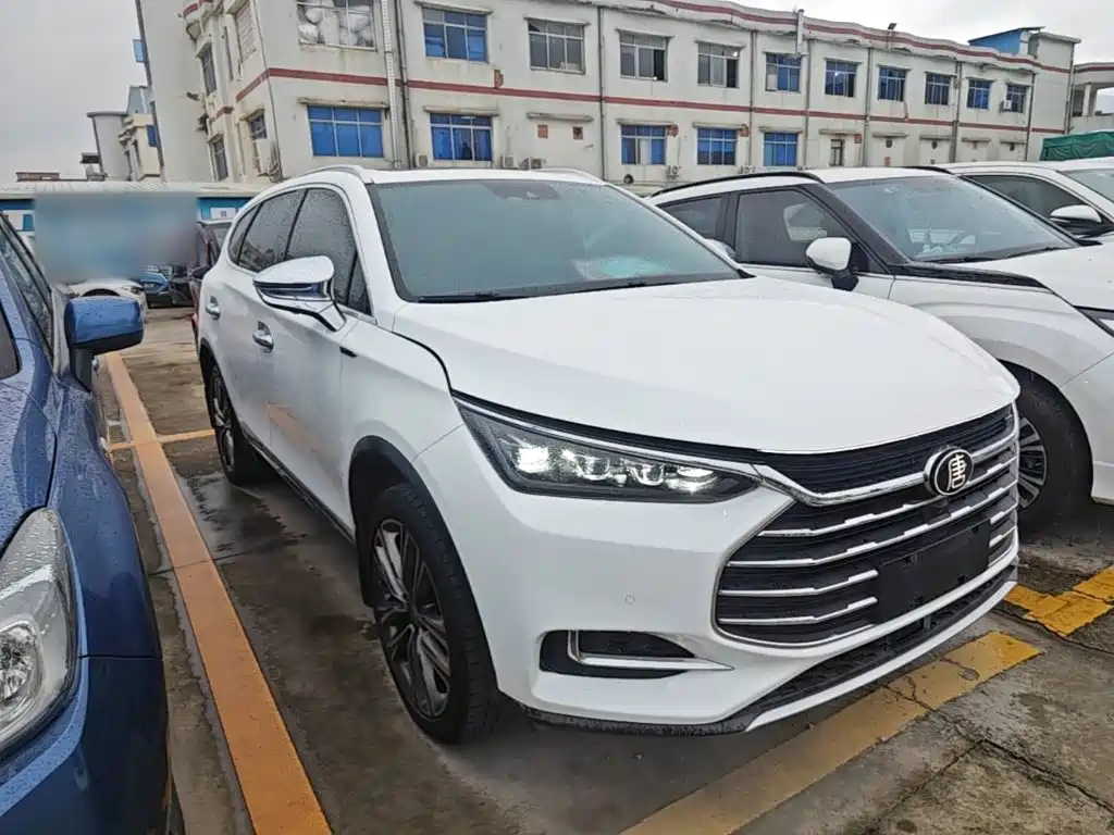 Tang 2.0 T Auto Connected Honored 7-seat CN-V
