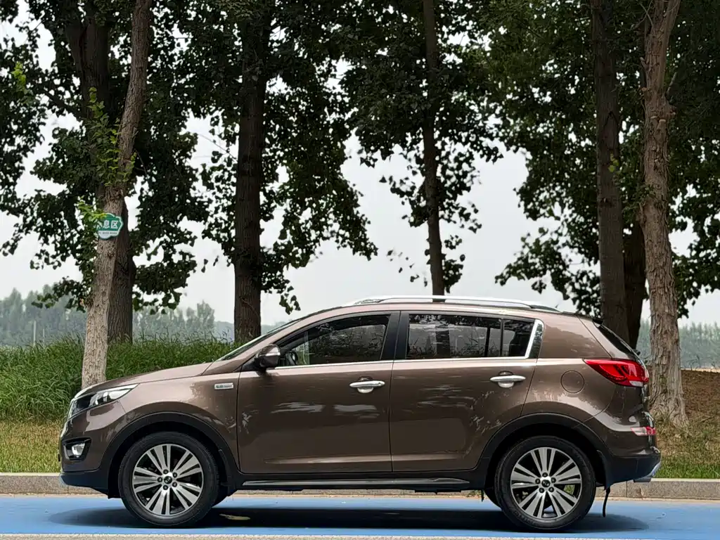 Sportage 2.0 L Auto 2 WD DLX