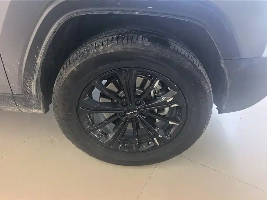 Haval Menglong NEV Hi4 102 Pro