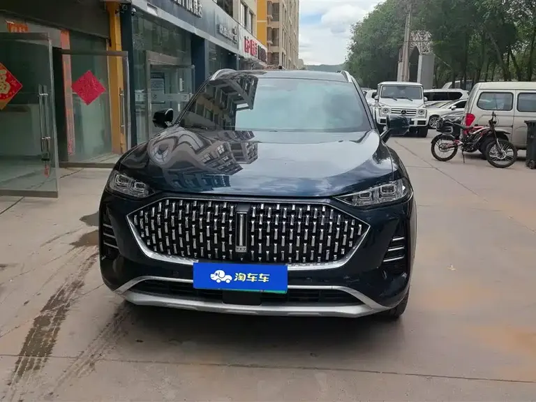 WEY Mocha NEV 1.5 T 0 Anxiety Performance