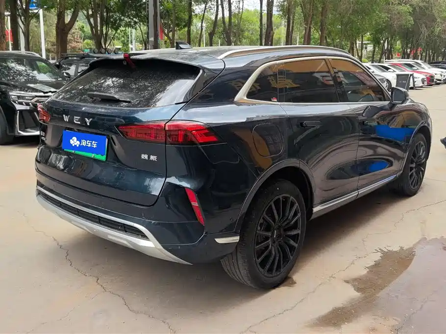 WEY Mocha NEV 1.5 T 0 Anxiety Performance