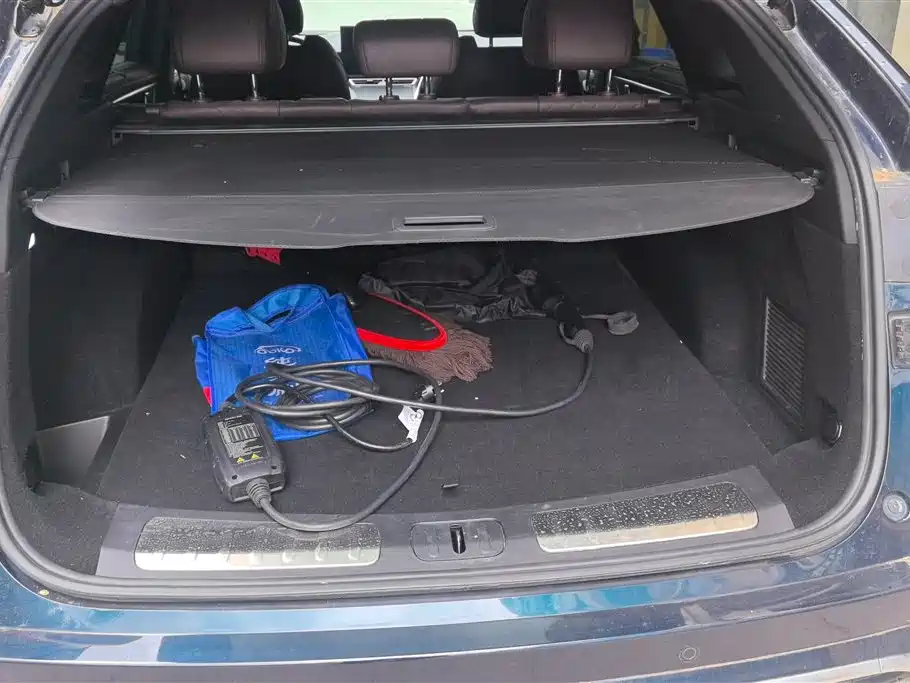 WEY Mocha NEV 1.5 T 0 Anxiety Performance