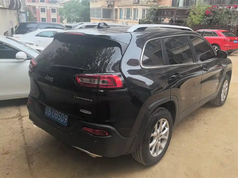 Cherokee 2.4 L Professional Intelligent