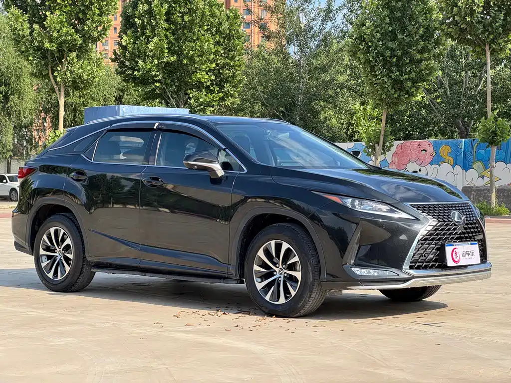 Lexus RX 300 2 WD Elite CN-V