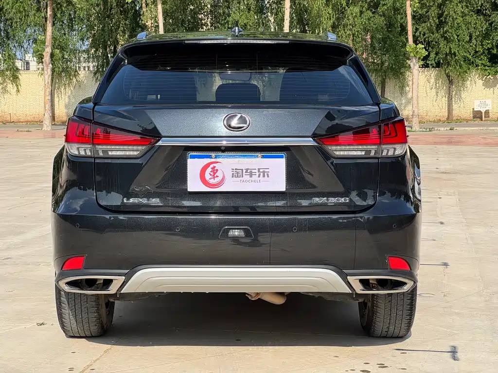 Lexus RX 300 2 WD Elite CN-V