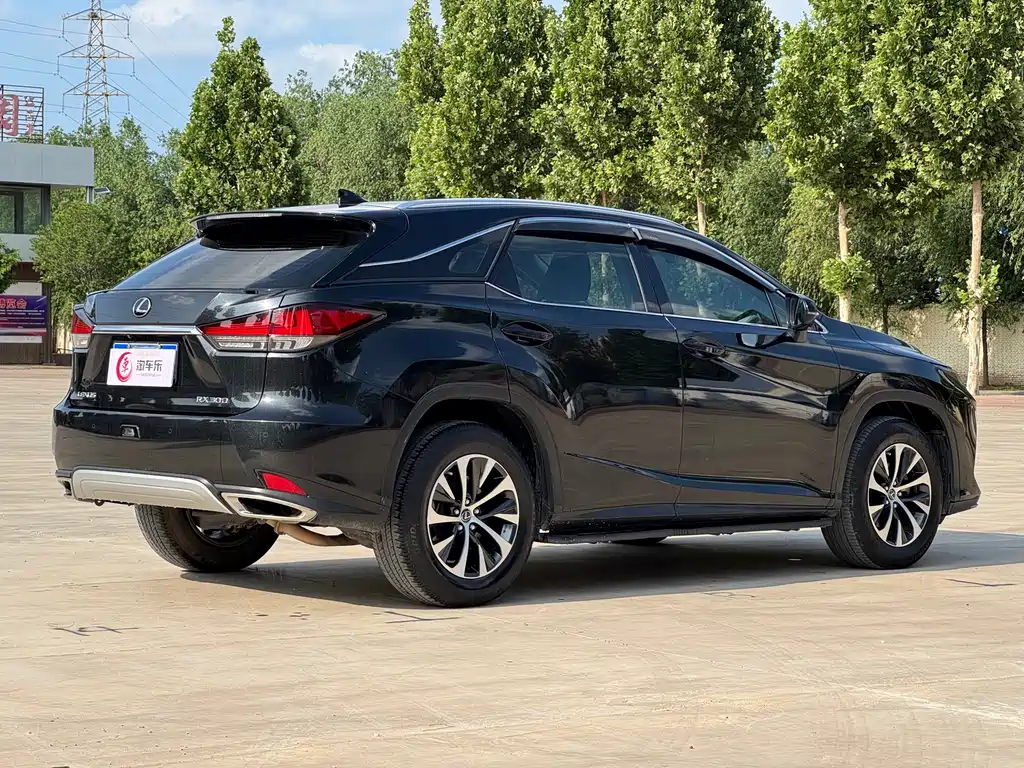 Lexus RX 300 2 WD Elite CN-V