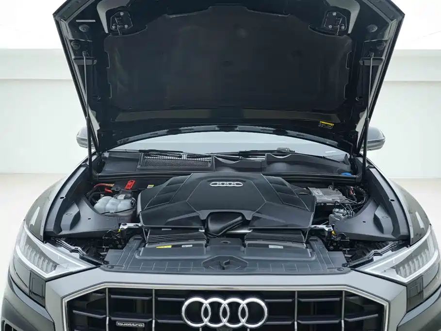 Audi Q8 55 TFSI Luxury Dynamic