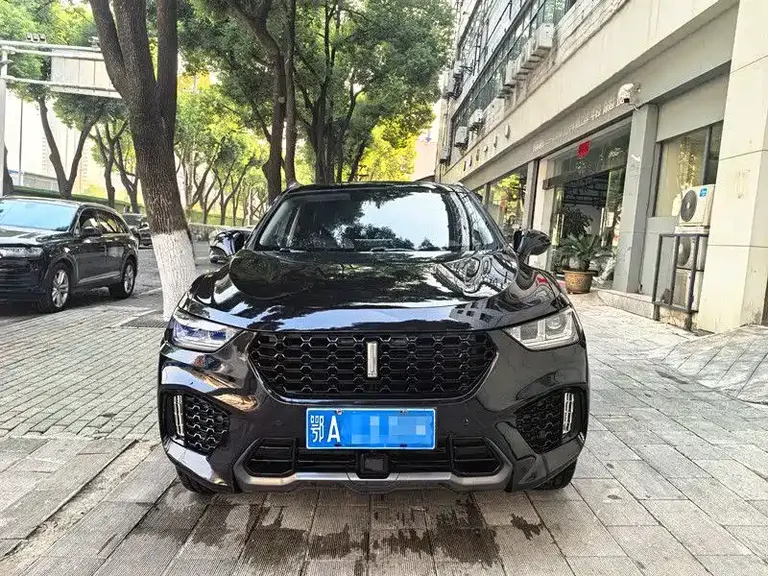 WEY VV5 2.0 T 2 WD Terminator