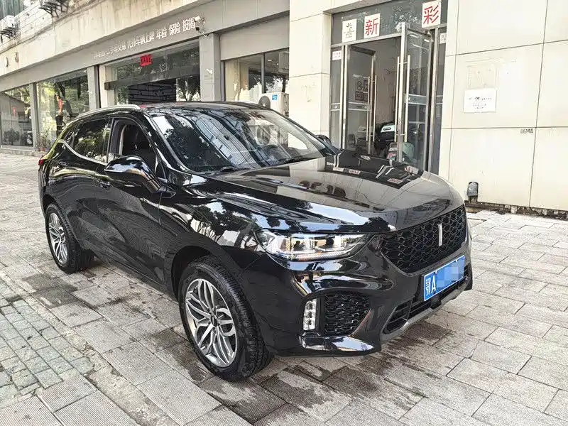 WEY VV5 2.0 T 2 WD Terminator