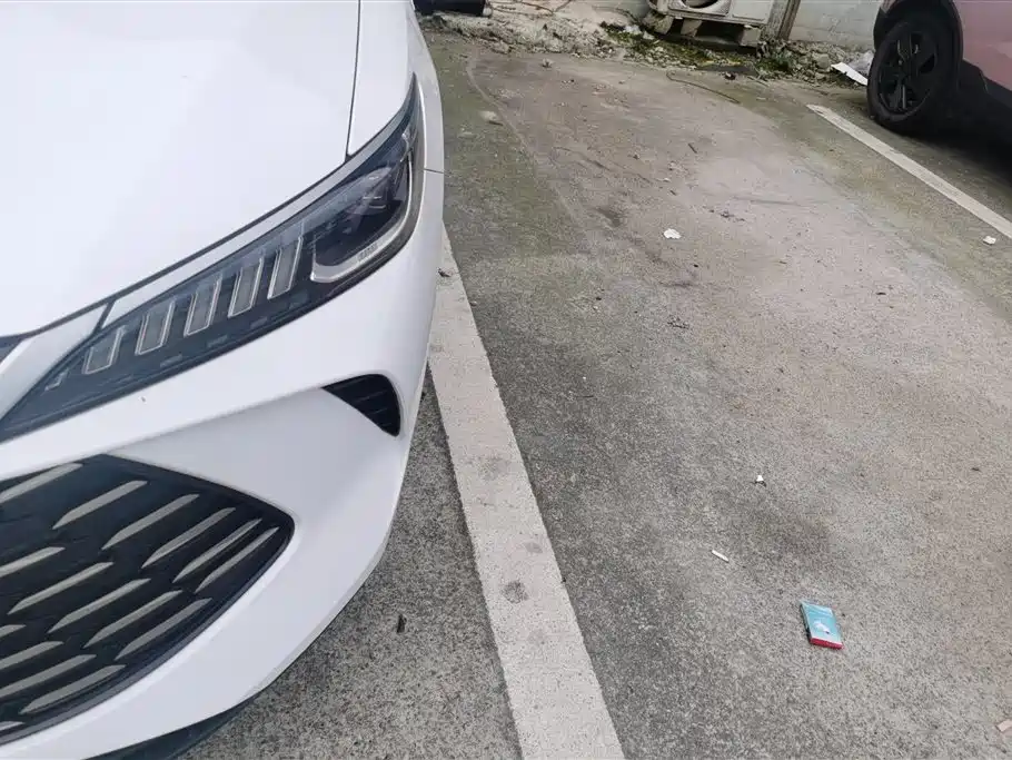 Qin PLUS DM-i Smart Drive 55 KM Transcend